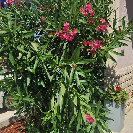 아파트 Near The 풀라