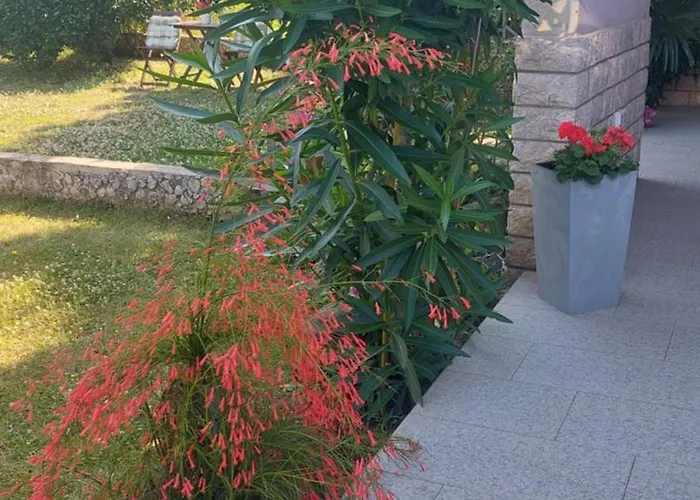 Near The Appartement
