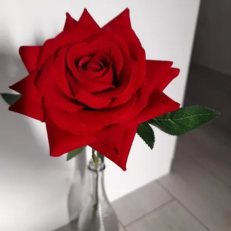 Near The Apartmán *