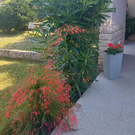 Near The Apartment