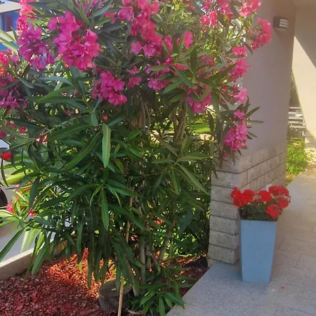 Near The Apartment