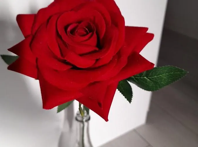 Near The Apartment *